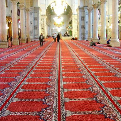 Wholesale commercial carpets quality at wholesale prices (6)